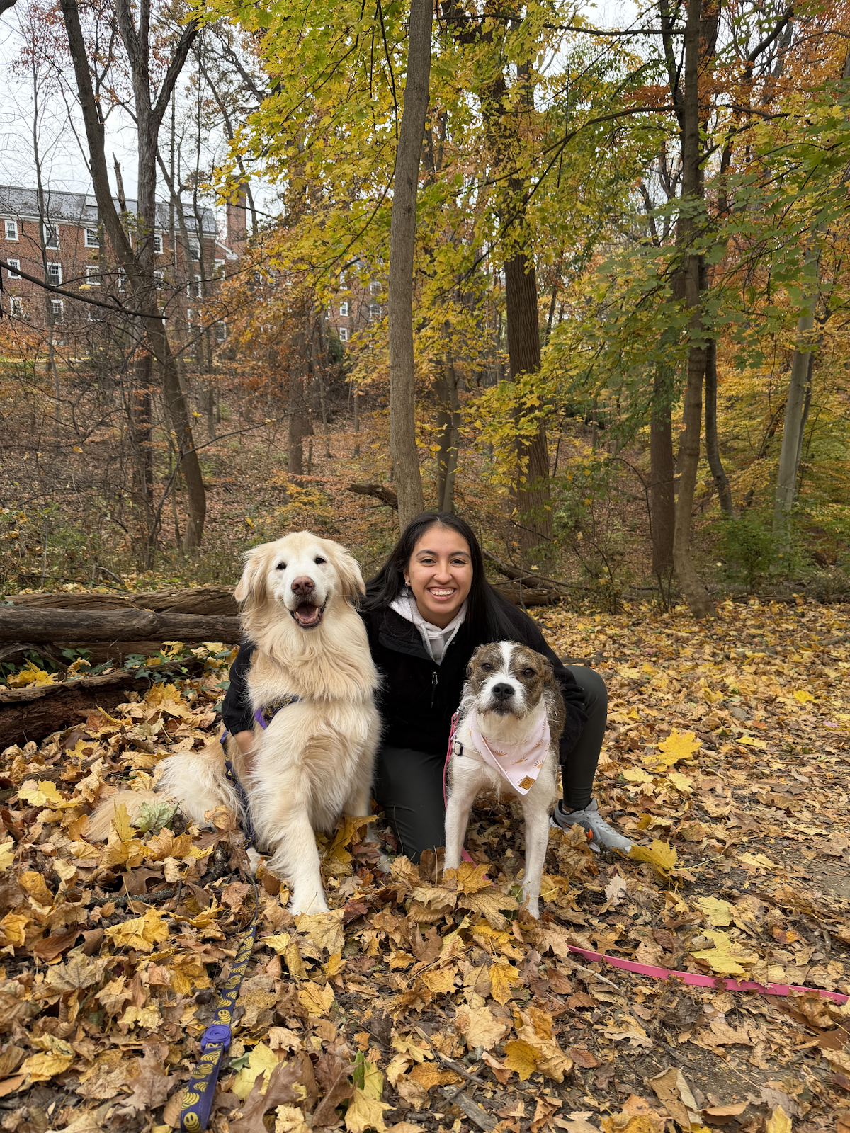 Nathalia Nivia, veterinary technician, outdoors with two dogs