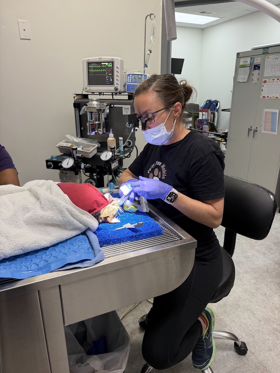 Surgical & Dental Procedures