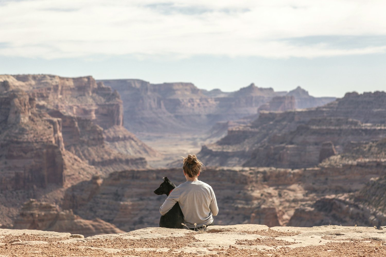 Health Certificates for Travel