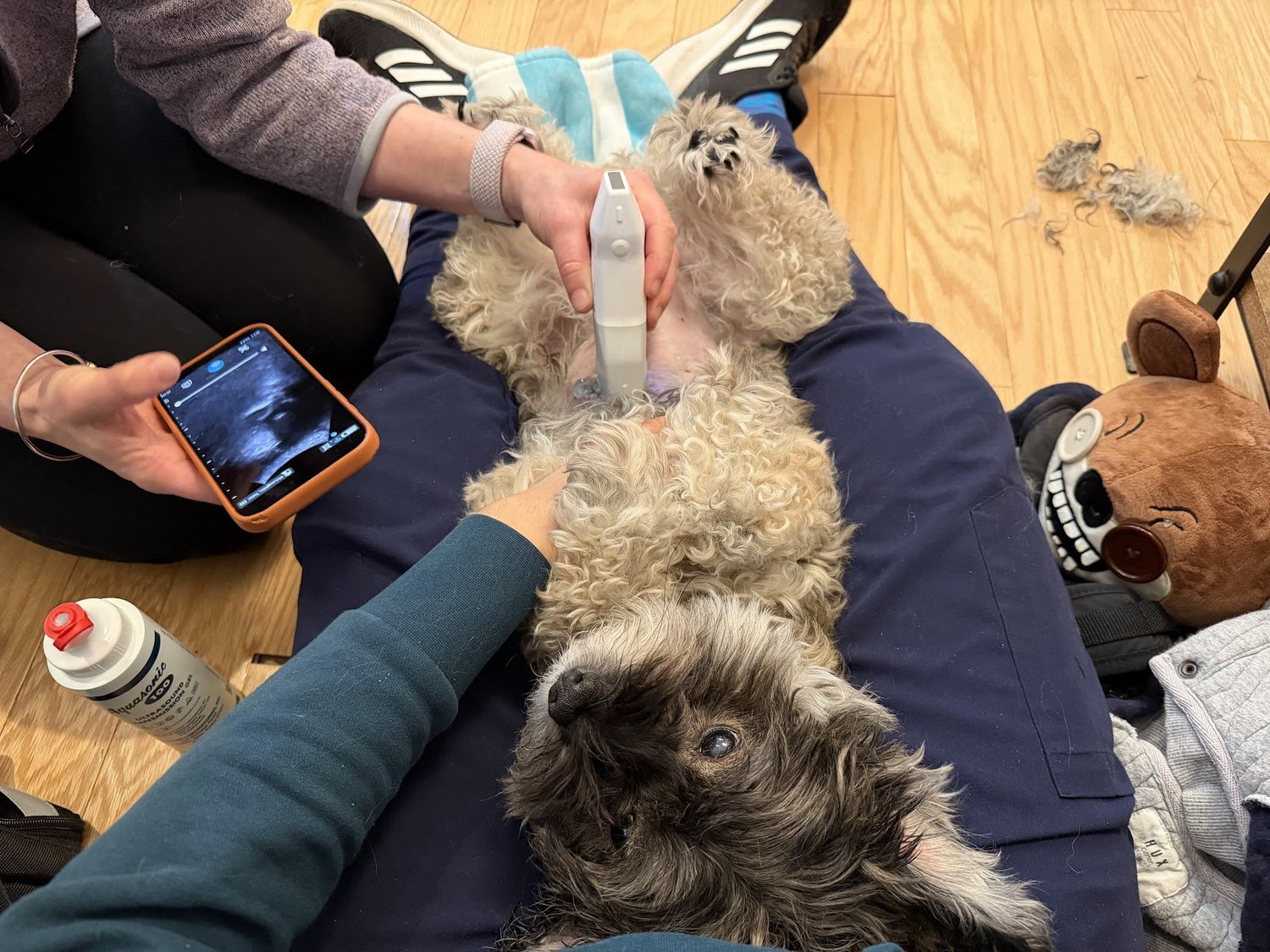 Ultrasound